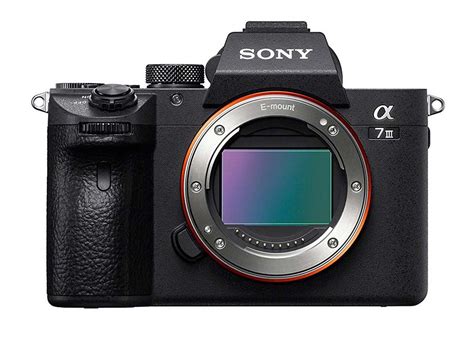 Sony A7 III Review - Autofocus - Photography Life - balustradellc