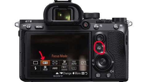 Sony a7iii Focus Modes (Explained!) - Chance Talks Cameras - balustradellc