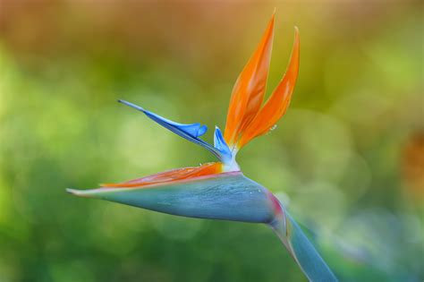 Sony Forum - Photography - FM Forums - balustradellc