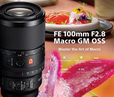 Sony Luncurkan FE 100mm F2.8 Macro GM OSS - balustradellc