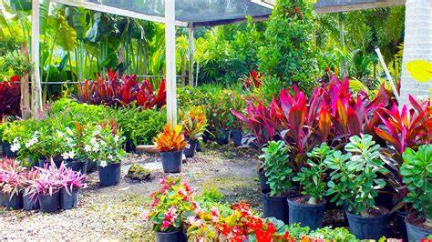 SOP Manual for Nursery and Tree Production SOP-1004 - Fhyzics - raincitystudios.com