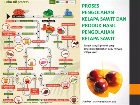 SOP Pembibitan Utama Kelapa Sawit | PDF | Home - raincitystudios.com