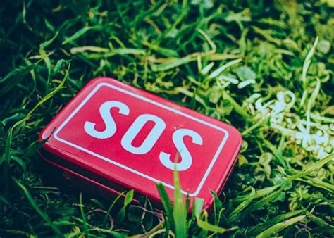 SOS Adalah Langkah Tepat untuk Mendapatkan … - balustradellc