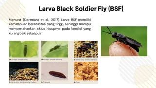 Sosialisasi dan Pelatihan Budidaya Larva Black Soldier Fly (BSF ... - balustradellc