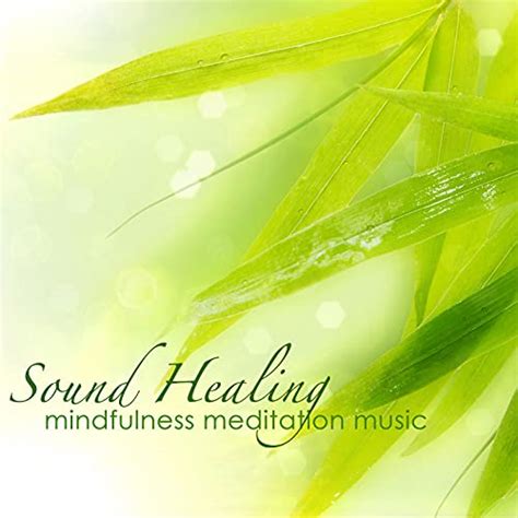 Sound Healing Mindfulness Meditation Music – Zen Nature Music for Deep ... - balustradellc