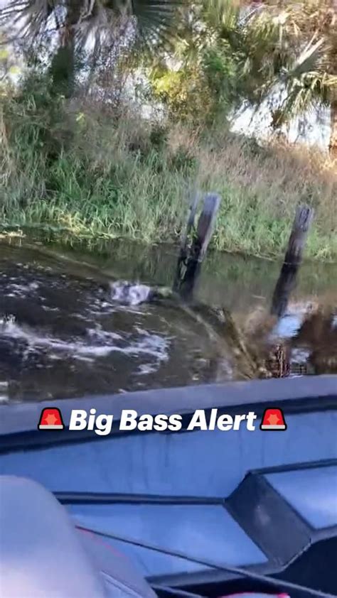 SoundsGood Combo Deal Alert! Looking for big bass ... - balustradellc