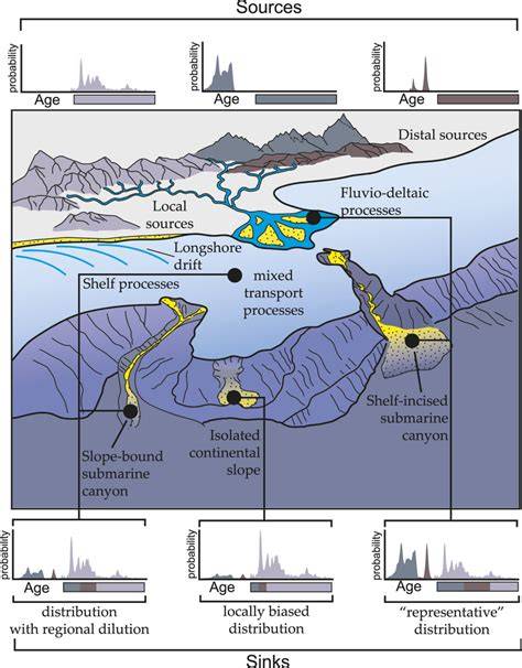 Sources and transport-sedimentation processes of surficial detrital ... - raincitystudios.com