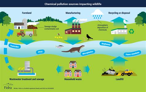 Sources of Pollution and Their Impact on the Physical and Chemical ... - raincitystudios.com