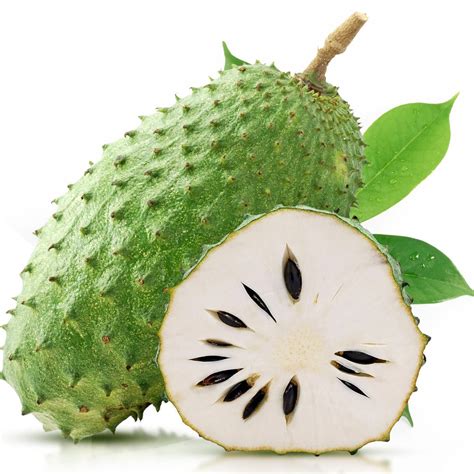 Soursop - balustradellc