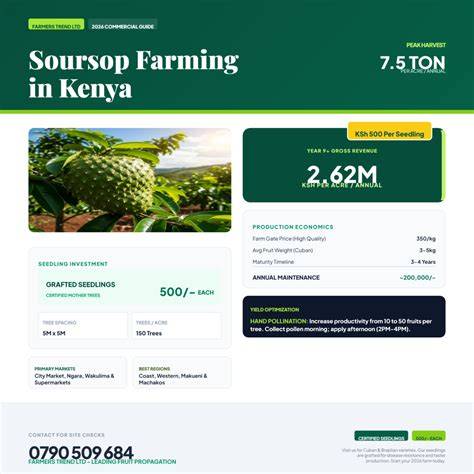 Soursop Farming in Kenya: A Complete Successful Planting Guide for ... - raincitystudios.com