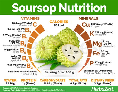 Soursop Fruit Benefits - How To Grow Soursop Trees - balustradellc