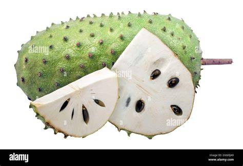 Soursop fruit concept background hi-res stock photography and - raincitystudios.com