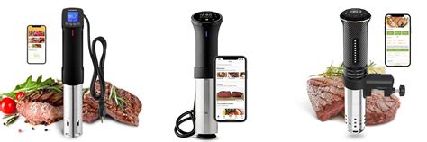 Sous Vide Buying Guide - balustradellc