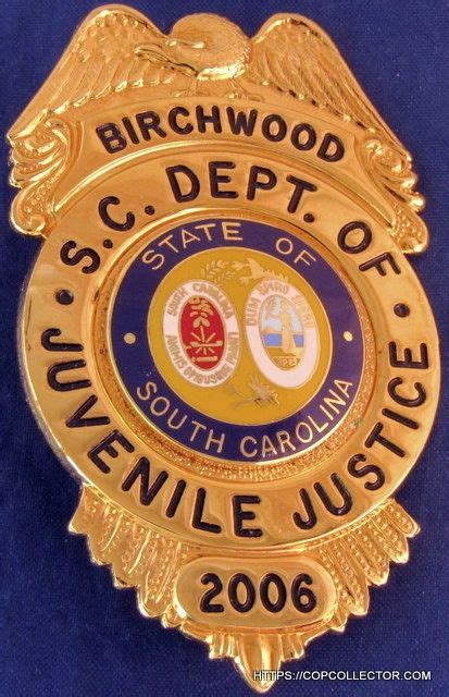 South carolina juvenile justice officer certification license exam ... - balustradellc