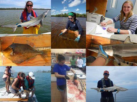 Southeast Fisheries Science Center Internships - raincitystudios.com