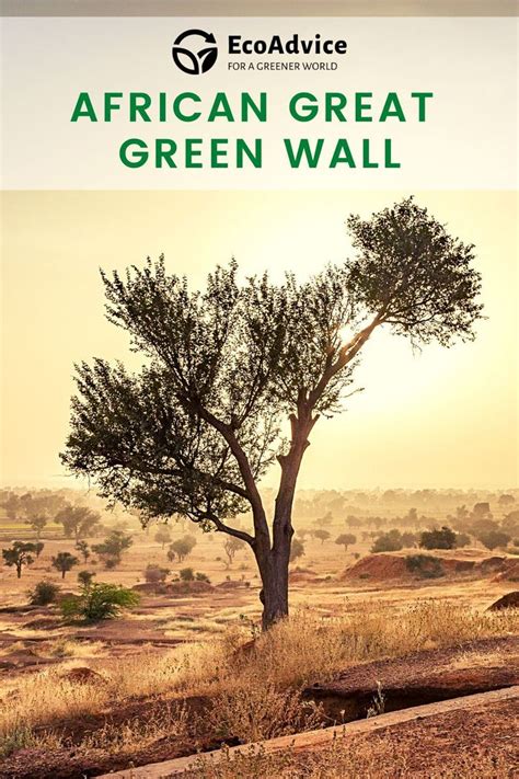 Southern African Development Community Great Green Wall Initiative - raincitystudios.com