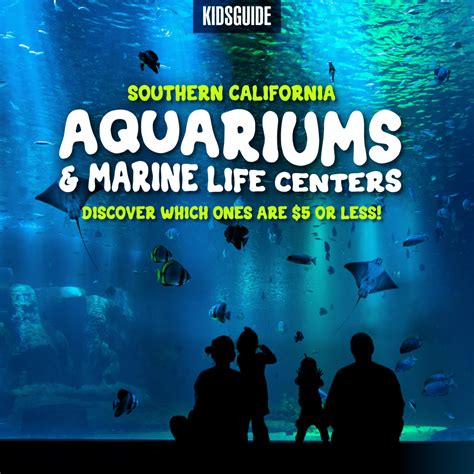 Southern California Aquariums | Marine Science Programs for Kids - raincitystudios.com