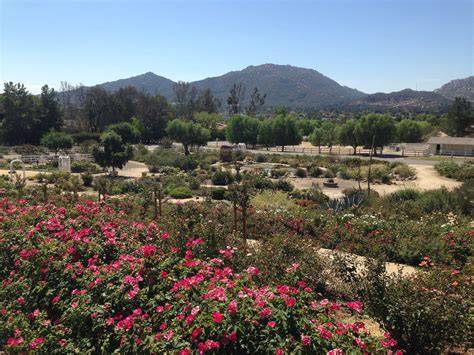 Southern California Gardens - Garden Design - raincitystudios.com