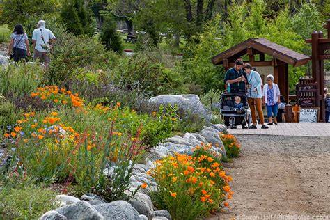 Southern California Montane Botanic Garden - raincitystudios.com