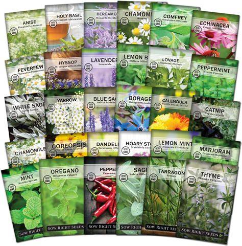 Sow Right Seeds - Non-GMO Heirloom Garden Seed … - raincitystudios.com