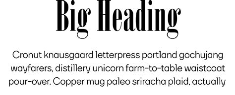 SP New Serif Condensed Regular Font for Web & Desktop on Rentafont