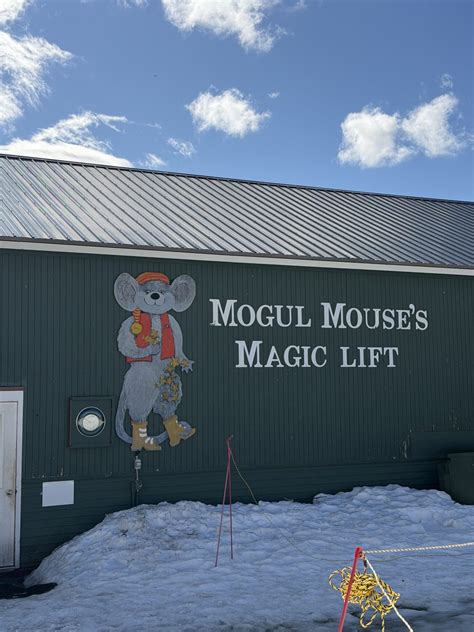 Space-Efficient Home Gym Setup | Gym setup, Home gym setup - balustradellc