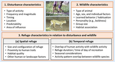 Spatial and temporal response of wildlife to recreational activities in ... - wintechmobiles.com