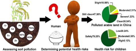 Spatial assessment of farmland soil pollution and its potential human ... - wintechmobiles.com