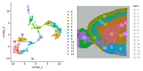 Spatial Datasets - Dataset - National Grid's Data Portal - wintechmobiles.com