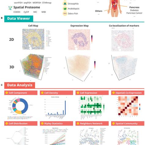 Spatial Transcript Omics DataBase - STOMICS DataBase - 空间转录 … - coolestguyplanet.net