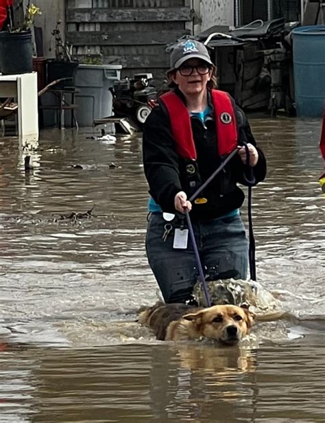 SPCA Monterey County rescues more than 200 pets from Pajaro River flooding