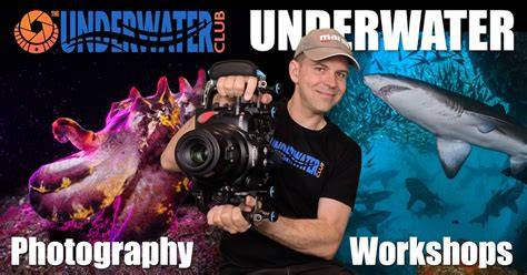 Special Underwater Photography Trips - raincitystudios.com