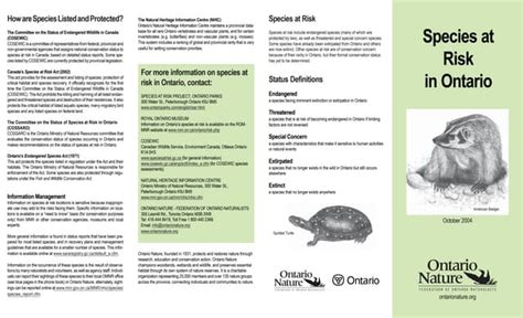 Species at risk in Ontario - raincitystudios.com