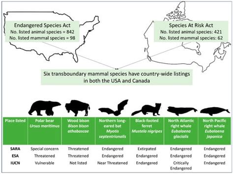 Species at risk - David Suzuki Foundation - wintechmobiles.com