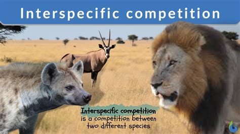 Species Interactions and Competition | Learn Science … - muktibox.com