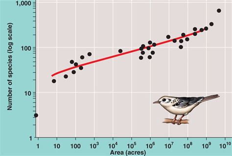 SPECIES-AREA REALTIONSHIPS OF PRARIRIE BIRDS WITHIN …