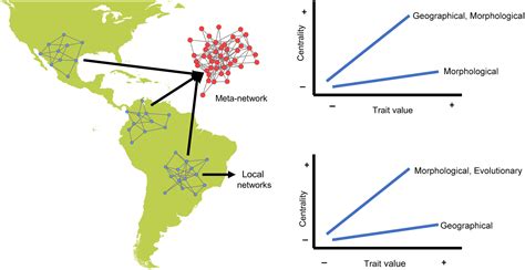 Species-level drivers of avian centrality within seed-dispersal ... - raincitystudios.com