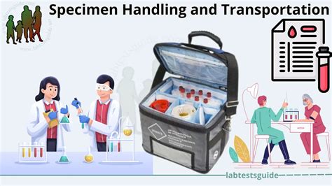 SPECIMEN COLLECTION, HANDLING, and TRANSPORT - wintechmobiles.com