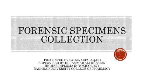Specimens in Collection - ANBG - raincitystudios.com