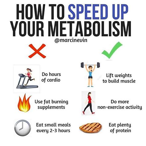 Speed Up Your Metabolism: 8 Tips, FAQ, Video, and More - balustradellc