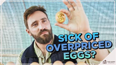 Spend Less On Eggs At The Grocery Store: Raise … - balustradellc