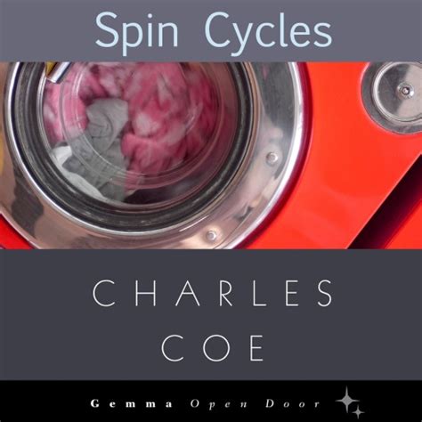 SPIN CYCLES - Laundry service & Dry Cleaning … - coolestguyplanet.net