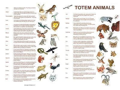 Spirit Animal: Definition and List of Totem Animals - balustradellc