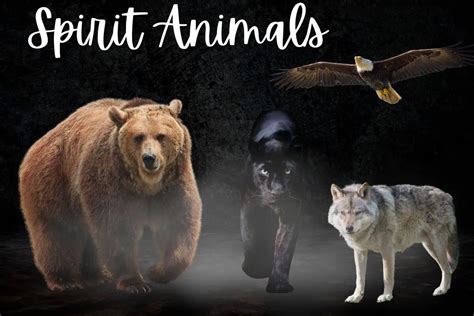 SPIRIT ANIMALS - Spirit Animal Meanings - balustradellc