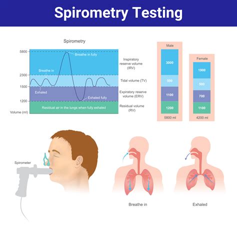 Spirometry and respiratory muscle function during ascent to higher ... - balustradellc