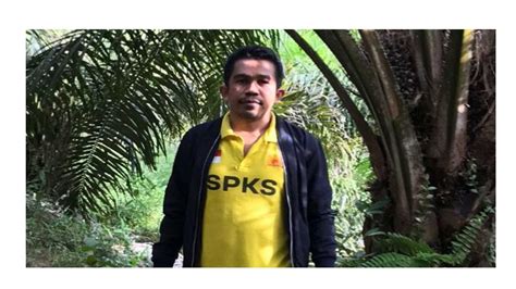 SPKS - raincitystudios.com
