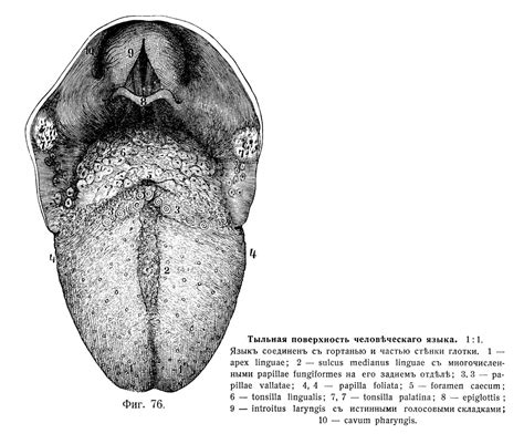 codini.rgarabwor.edu.pl. 
