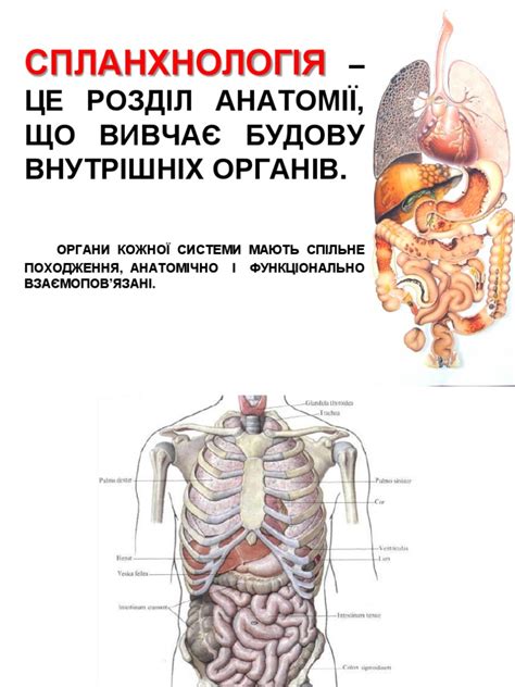 genssuffweb.rgarabwor.edu.pl. 