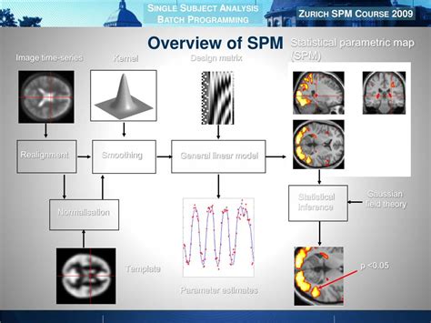 SPM-NPM PDF Demo