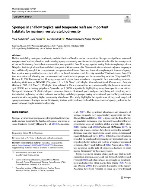 Sponges in shallow tropical and temperate reefs are ... - Springer - raincitystudios.com